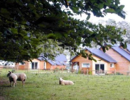 Berville-en-Caux皮勒特农庄旅馆别墅 外观 照片